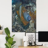Orange Filefish Poster (Heimbüro)