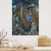 Orange Filefish Poster (Küche)