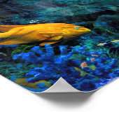 ORANGE FISH BLUE WORLD POSTER (Ecke)