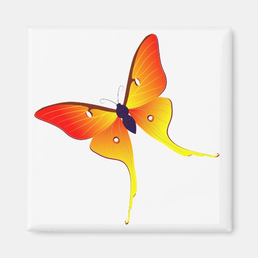 Orange Flame Butterfly Square Magnet (Vorne)