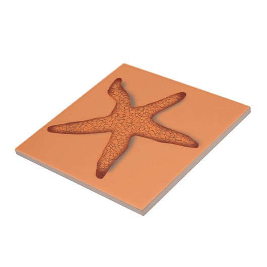 Orange Fliese (Seite)