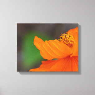 Orange Floral Canvas Print Leinwanddruck