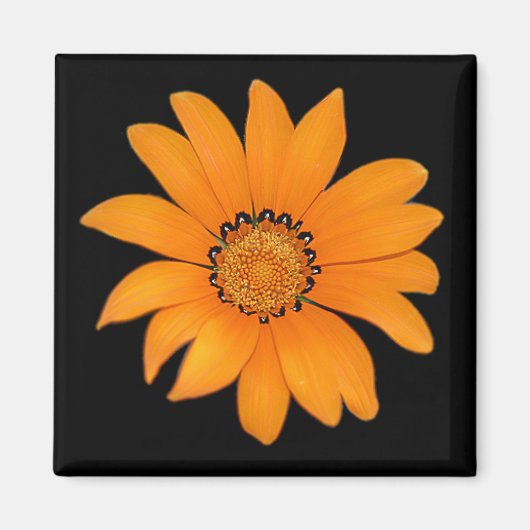 Orange Floral Magnet (Vorne)