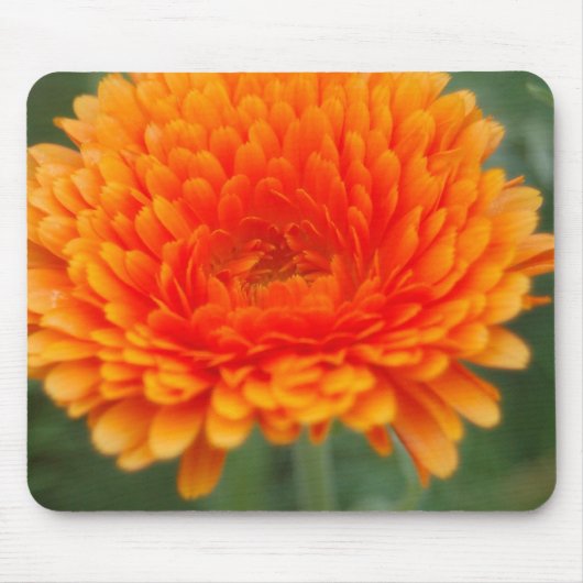 Orange Floral Mousepad (Vorne)