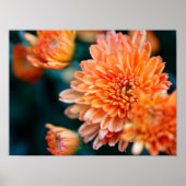 orange floral poster (Vorne)