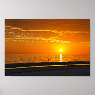 Orange Florida Sunset Poster