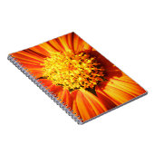 Orange Flower Macro Nature Photography Wall Art Notizblock (Rechte Seite)