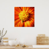 Orange Flower Macro – Vibrant Nature Photography Poster (Küche)