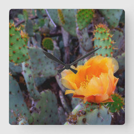 Orange Flowered Prickly Pear Opuntia Cactus Quadratische Wanduhr