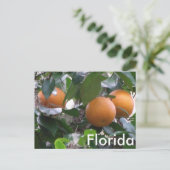 Orange Foto Postkarte (Stehend Vorderseite)