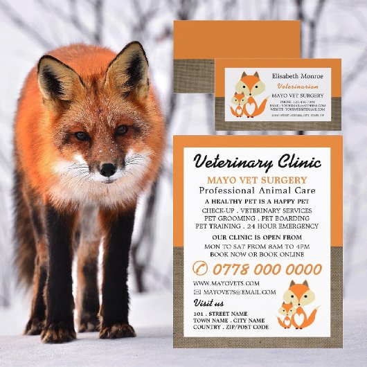 Orange Fox, Tierarzt, Veterinärdienst Flyer