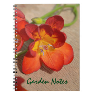Orange Freesia Blume Notebook Notizblock