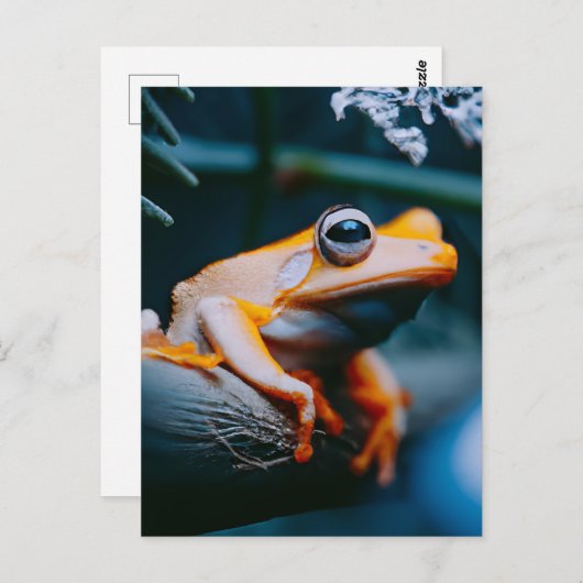 Orange Frog Postkarte (Vorne/Hinten)