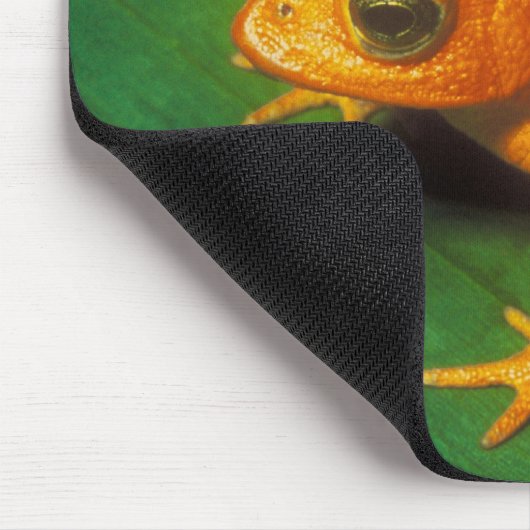 Orange Frosch Mousepad (Ecke)