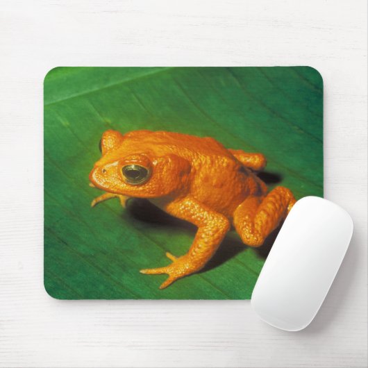 Orange Frosch Mousepad (Mit Mouse)