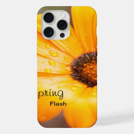 Orange Frühling Flash African Daisy Blume Benutzer iPhone Hülle (Rückseite)