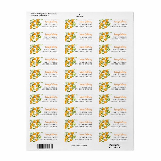 Orange Fruit Return Address Label (Vorne)