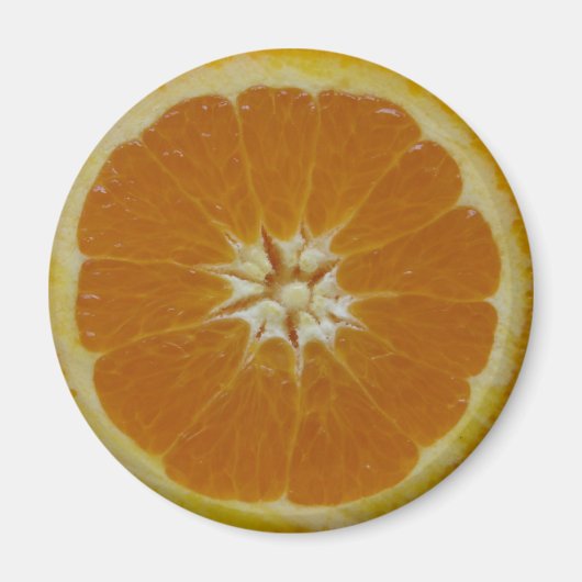 Orange Fruit Slice Magnet (Vorne)