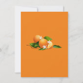 Orange Fruit Summer Party Einladung (Rückseite)