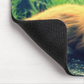 Orange Fuchs Mousepad (Ecke)