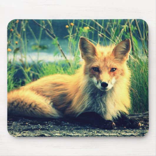 Orange Fuchs Mousepad (Vorne)