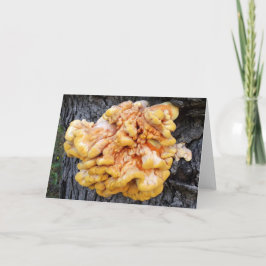 Orange Fungus Karte