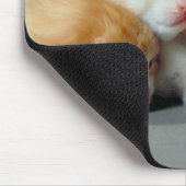 Orange Fur Kittens Mousepad (Ecke)