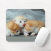 Orange Fur Kittens Mousepad (Mit Mouse)