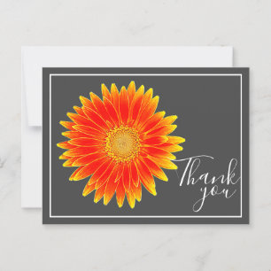 Orange Gänseblümchen-Blume mit grauem Hintergrund Postkarte