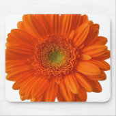 Orange Gänseblümchen-Mausunterlage Mousepad (Vorne)