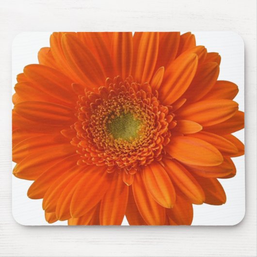 Orange Gänseblümchen-Mausunterlage Mousepad (Vorne)