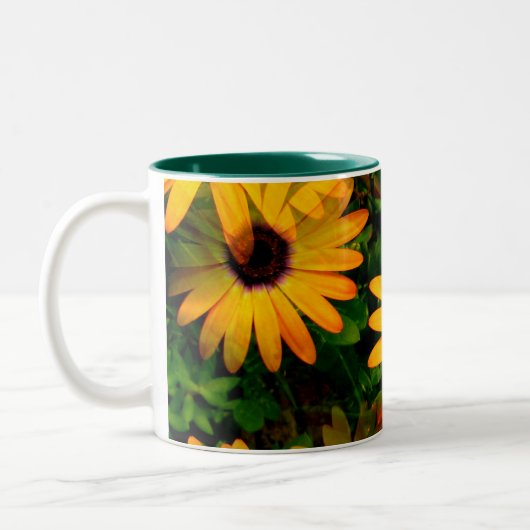 Orange Gänseblümchen mögen große Tasse (Links)