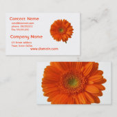 Orange Gänseblümchen-Visitenkarte Visitenkarte (Vorne/Hinten)