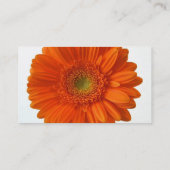 Orange Gänseblümchen-Visitenkarte Visitenkarte (Rückseite)