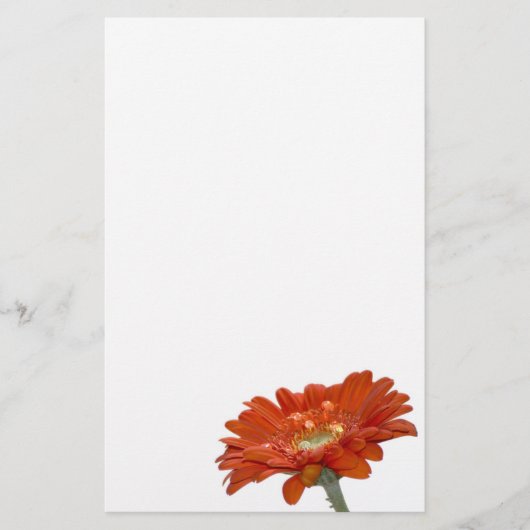 Orange Gänseblümchengerbera-Blume Briefpapier (Vorderseite)
