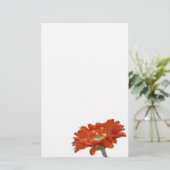 Orange Gänseblümchengerbera-Blume Briefpapier (Stehend Vorderseite)