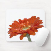 Orange Gänseblümchengerbera-Blume Mousepad (Mit Mouse)