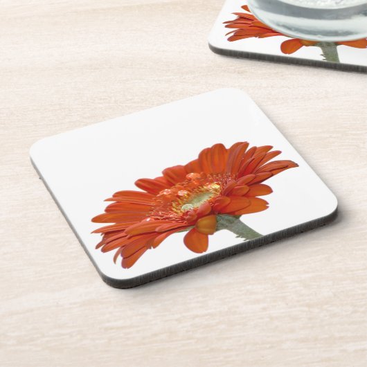 Orange Gänseblümchengerbera-Blume Untersetzer (Linke Seite)