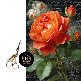 Orange Garden Rose Decoupage Seidenpapier
