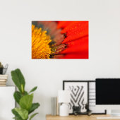 Orange Gazania African Daisies Summer Blume Poster (Heimbüro)