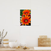 Orange Gazania African Daisies Summer Blume Poster (Küche)