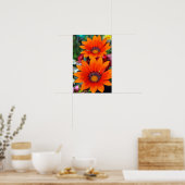 Orange Gazania African Daisies Summer Blume Poster (Küche)
