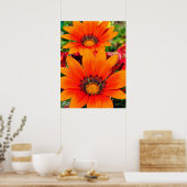 Orange Gazania African Daisies Summer Blume Poster (Küche)