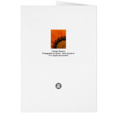 Orange Gazania Card (Hinten)