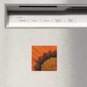 Orange Gazania Magnet (In Situ (Geschirrspüler))