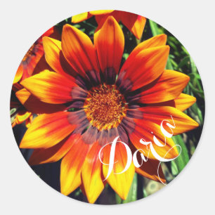 Orange Gazania-Nameaufkleber Runder Aufkleber