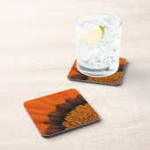 Orange Gazania Untersetzer (Rechte Seite)