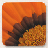 Orange Gazania Untersetzer (Vorderseite)