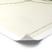 Orange-gekrönter Warbler von Audubon Poster (Ecke)