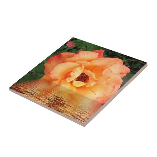 Orange Gelb-Rosen-Blume Fliese (Seite)